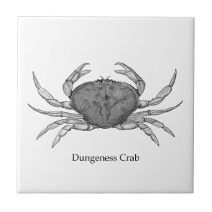 Het Logo van de Krab van Dungeness (lijnkunst) Tegeltje