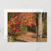 Het looppad briefkaart (Voorkant / Achterkant)