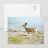Het lopen Fawn Briefkaart (Voorkant / Achterkant)