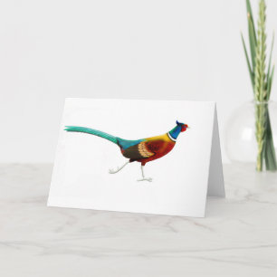 Het lopen Mannelijke Fazant Ringneck Kaart