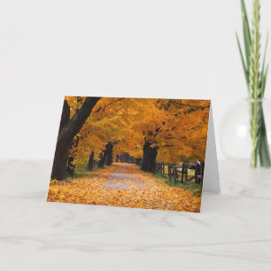 Het lopen onderaan de Steeg van het Geheugen van Kaart