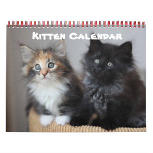 Het Lot van het Lot van het Huis van de Welp van Kalender
