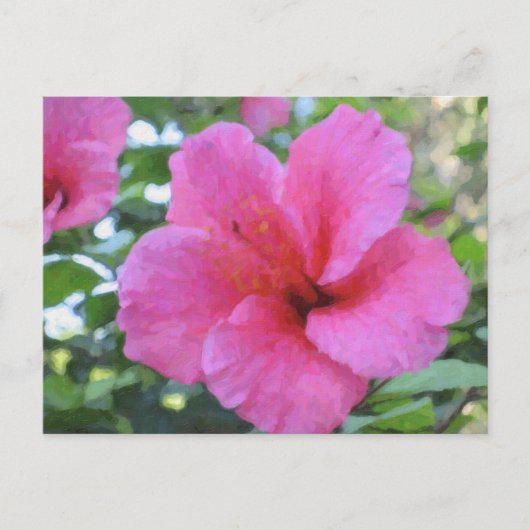 Het magenta Briefkaart van de Hibiscus (Voorkant)