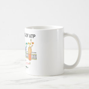 Het maken van ATP (lichtafhankelijke fotosynthese) Koffiemok