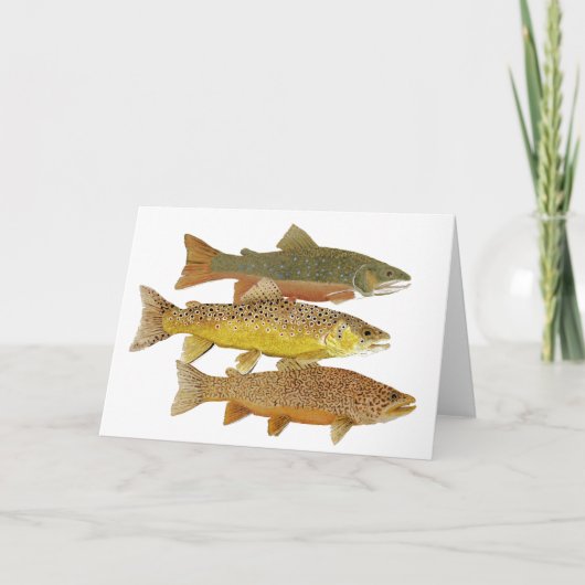 Het maken van een Kaart van de Forel van de Tijger (Voorkant)