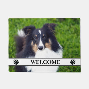 Het Malplaatje van de Foto van Dog met Vensters en Deurmat