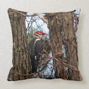 Het mannelijke Hoofdkussen van de Specht Pileated Kussen