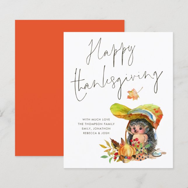 Het Manuscript van de Egel van de begroting Happy  (Voorkant / Achterkant)