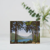 Het meer van Cushman in de zomer Briefkaart (Staand voorkant)