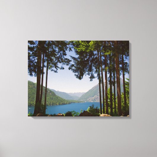 Het meer van Cushman in de zomer Canvas Afdruk (Voorkant)