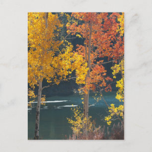Het Meer van de bever (Meren Mesa) in de Herfst Briefkaart