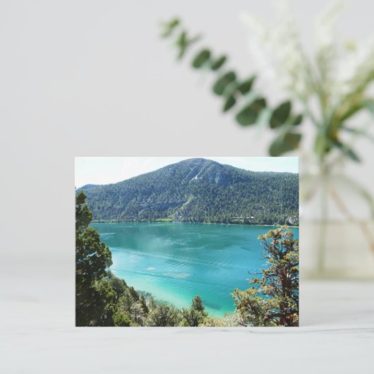 Het Meer van juni Briefkaart (Staand voorkant)