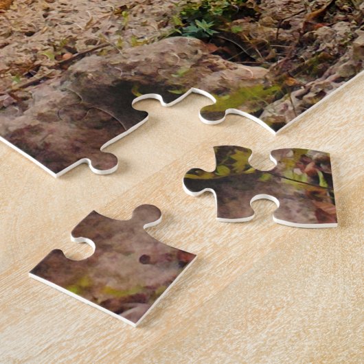 Het meer, Villefagnan, Charente, Frankrijk Legpuzzel (Zijkant)