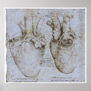 Het menselijk hart, Leonardo da Vinci Poster