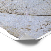 Het menselijk hart, Leonardo da Vinci Poster (Hoek)