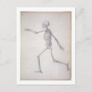 Het menselijk skelet, lateraal uitzicht, uit de se briefkaart