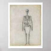 Het menselijk skelet, voorste uitzicht, uit de ser poster (Voorkant)