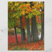 Het menu Aangepaste bruiloft voor alle kleuren inv (Achterkant)