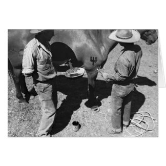 Het merken van paarden met het merk pitchfork