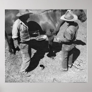 Het merken van paarden met het merk pitchfork poster