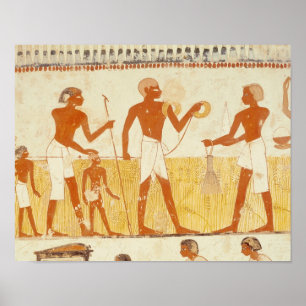 Het meten van het land aan de hand van touw poster