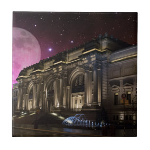 Het Metropolitaanse Museum van Spacey Tegeltje