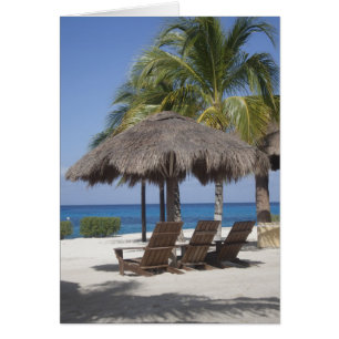 Het Mexicaanse Paradijs van het Strand