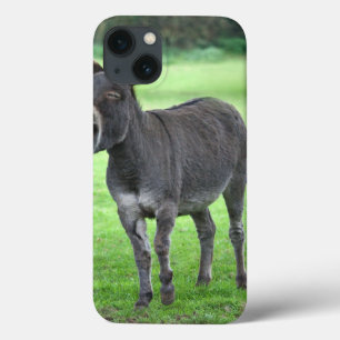 Het MiniHoesje van de Lach van de ezel iPad iPhone 13 Hoesje