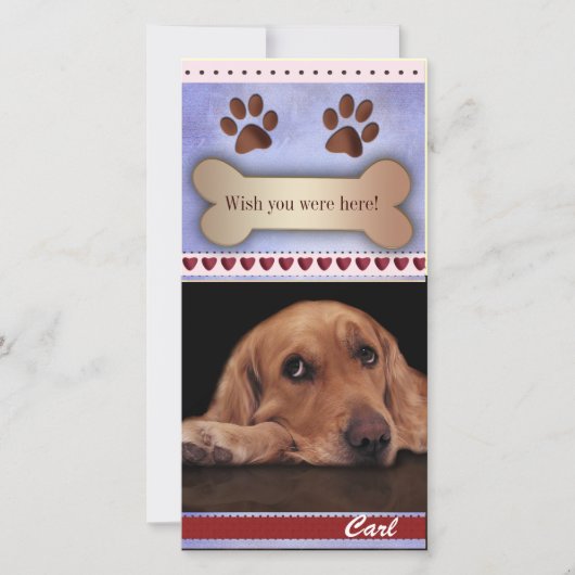 Het missen van het malplaatje van de hondfoto (Voorkant)