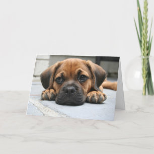 Het missen van u kaart