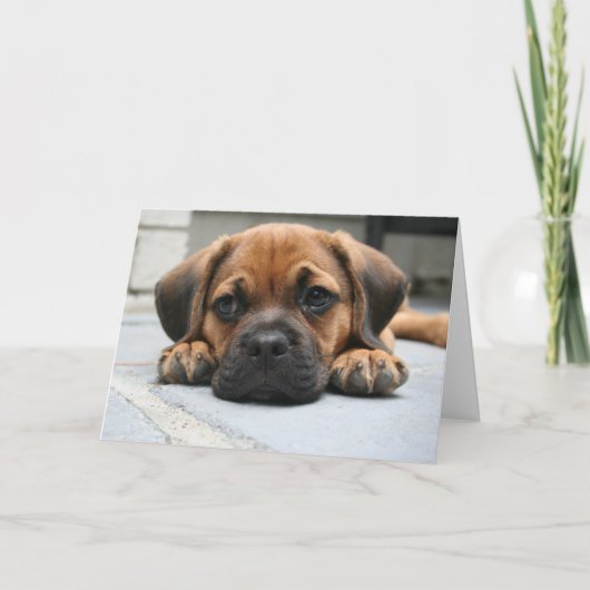 Het missen van u kaart (Voorkant)