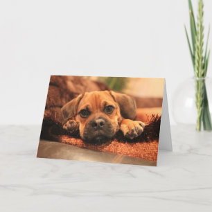 Het missen van u kaart