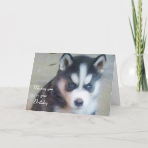 Het missen van u op uw kaart van het Puppy van de