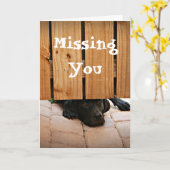 Het missen van u (Zwart Laboratorium) Kaart (Gele Bloem)