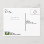 Het Missouri Capitol Briefkaart (Achterkant)