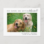 Het moderne Verloving van de Foto van het Pet spar Aankondigingskaart (Voorkant)