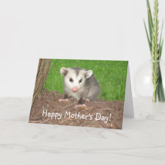 Het Moederdag van de Opossum van het baby Kaart