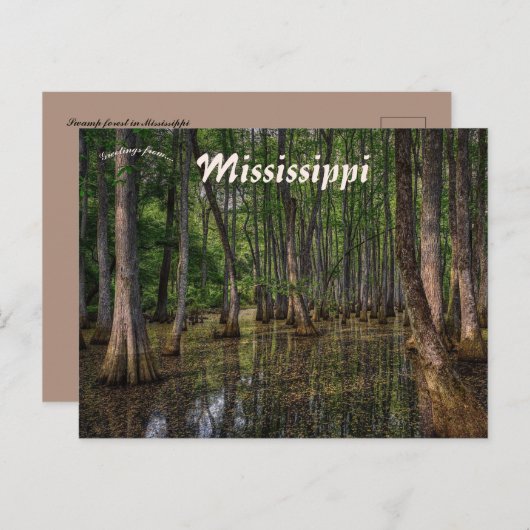 Het moerasbos in Mississippi Briefkaart (Voorkant / Achterkant)