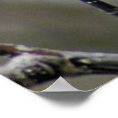 Het moet een lente zijn, een Tulp-boom in Bloom Poster (Hoek)