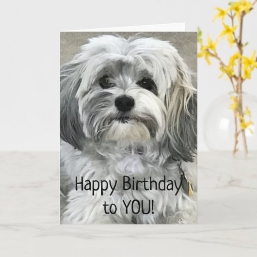 HET MOET GEWELDIG ZIJN OM DE "21STE" VERJAARDAG TE KAART (Gele Bloem)