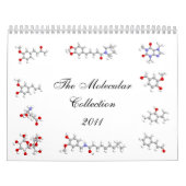 Het Moleculaire Collectie 2011 Kalender (Hoes)