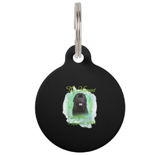 Het Moment Dat Ik Je Zag Hield Ik Van Je Hond Gesc Huisdierpenning