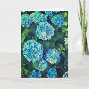 Het mooie Blauwe Lege Wenskaart van de Hydrangea Kaart