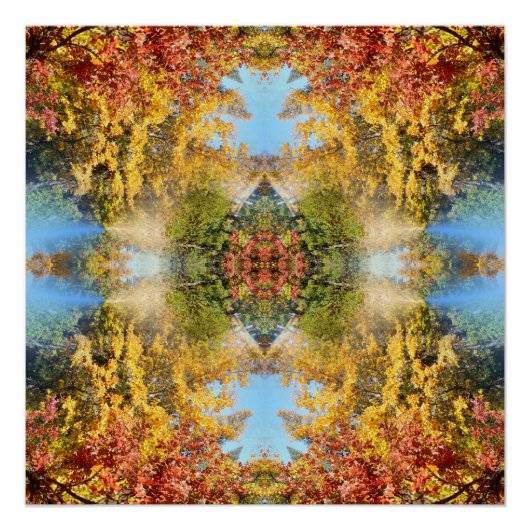 Het mooie bos in de herfst... perfect poster (Voorkant)