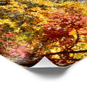 Het mooie bos in de herfst... perfect poster (Hoek)