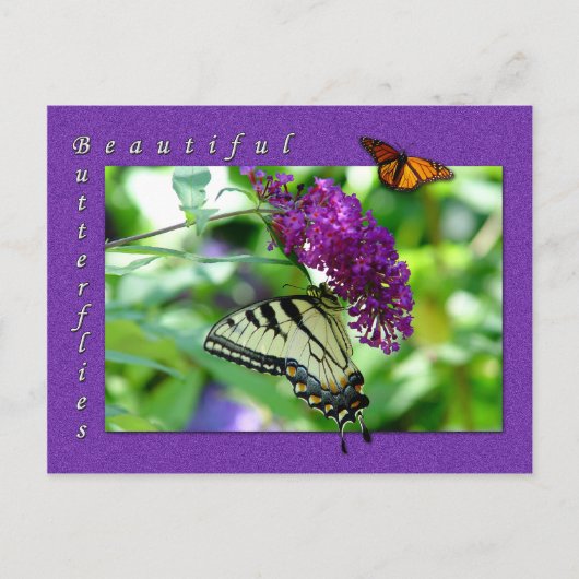 Het mooie Briefkaart Butterflies (Voorkant)