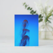 Het mooie briefkaart van Kwallen (Staand voorkant)