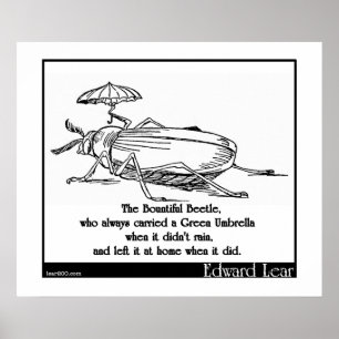 Het mooie gebaar poster