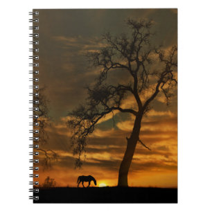 Het mooie Notitieboekje van het Paard Notitieboek