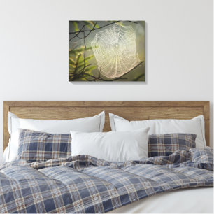 Het mooie Spider Web in het bos op Canvas Afdruk